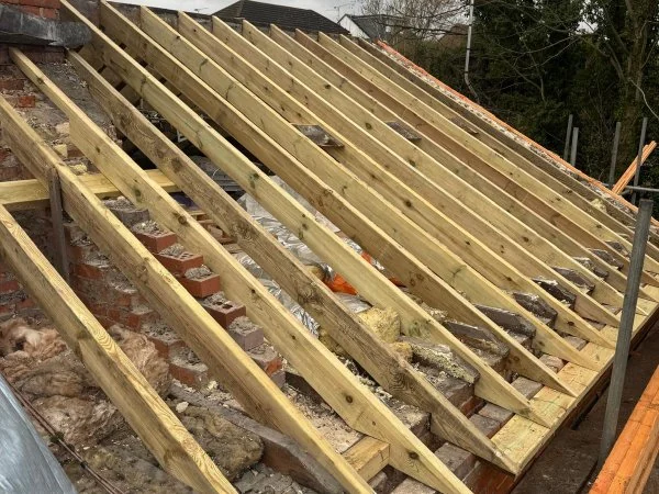 Close view through structural timber framing